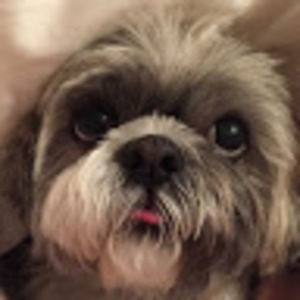 Meet your Posher, Marie